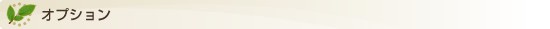 オプション